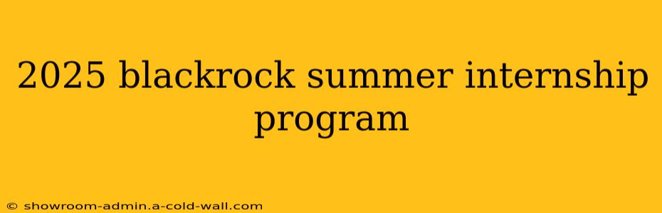 2025 blackrock summer internship program