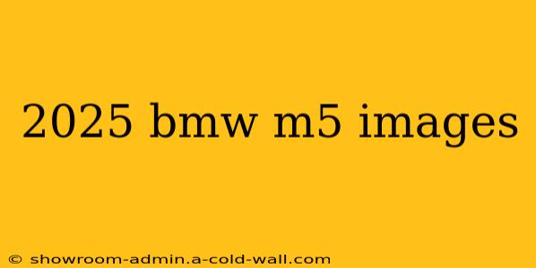 2025 bmw m5 images