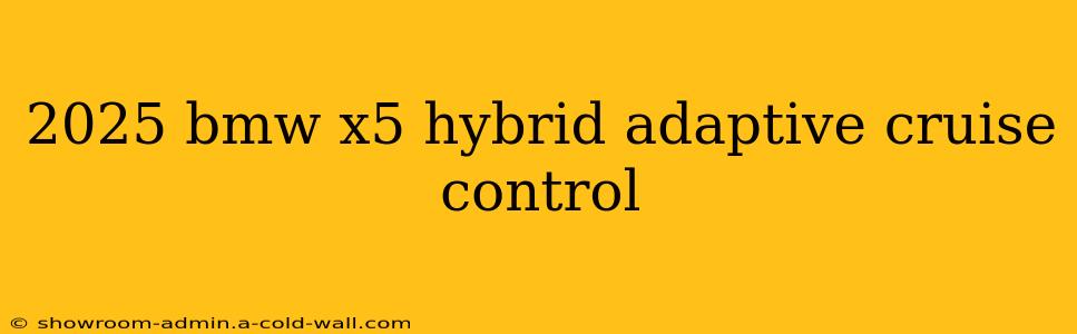 2025 bmw x5 hybrid adaptive cruise control