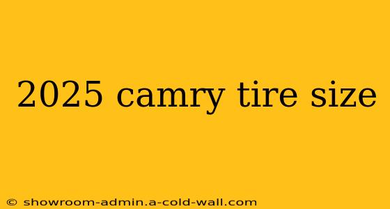 2025 camry tire size