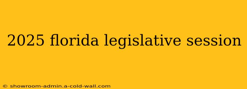 2025 florida legislative session