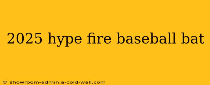 2025 hype fire baseball bat