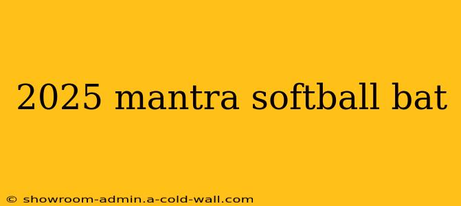 2025 mantra softball bat