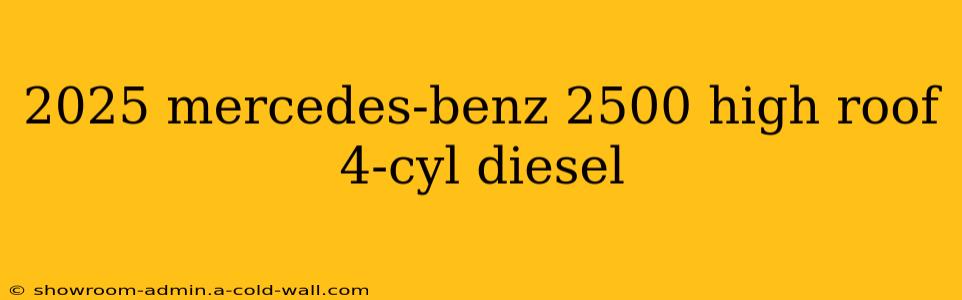 2025 mercedes-benz 2500 high roof 4-cyl diesel