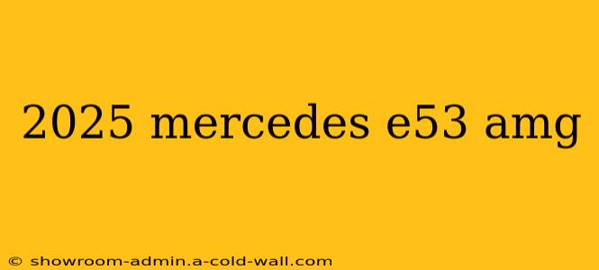 2025 mercedes e53 amg