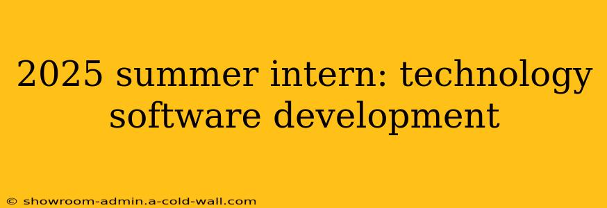 2025 summer intern: technology software development