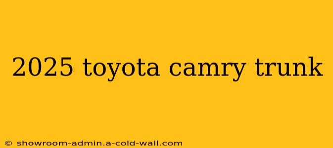 2025 toyota camry trunk