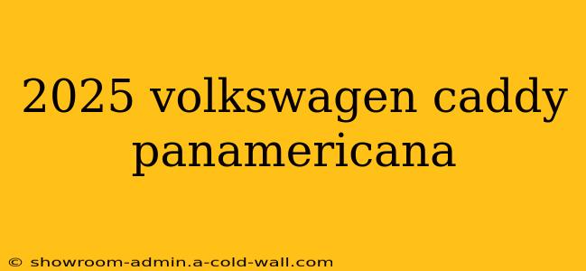 2025 volkswagen caddy panamericana