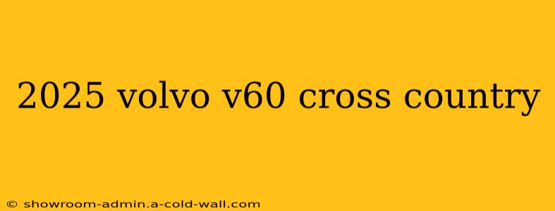 2025 volvo v60 cross country