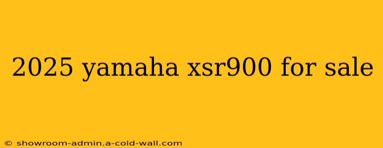 2025 yamaha xsr900 for sale