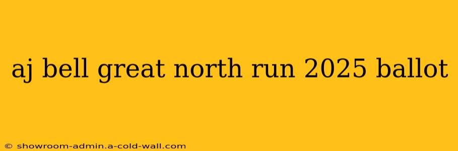 aj bell great north run 2025 ballot