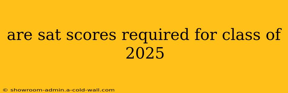 are sat scores required for class of 2025