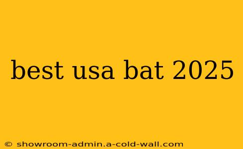 best usa bat 2025