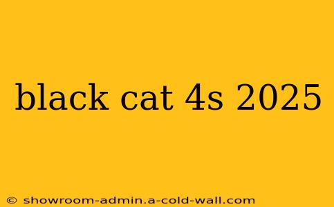 black cat 4s 2025