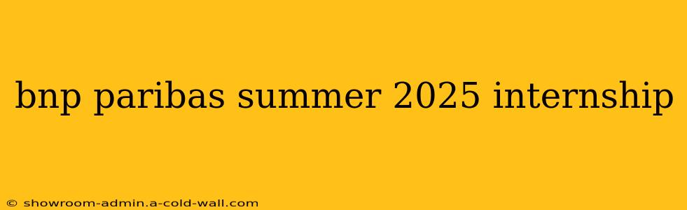 bnp paribas summer 2025 internship