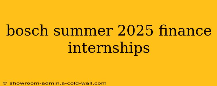 bosch summer 2025 finance internships