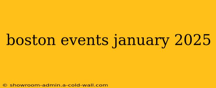 boston events january 2025