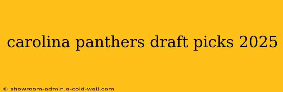 carolina panthers draft picks 2025