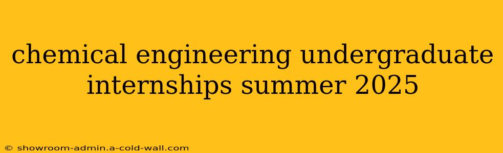 chemical engineering undergraduate internships summer 2025