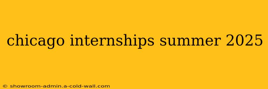 chicago internships summer 2025