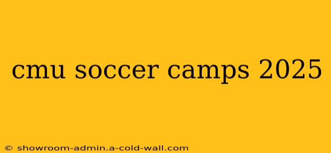 cmu soccer camps 2025