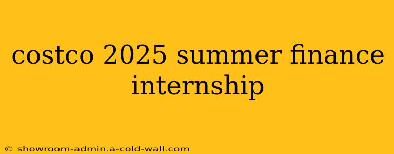 costco 2025 summer finance internship