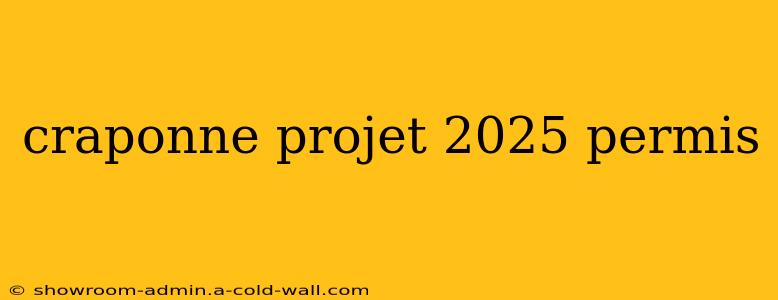 craponne projet 2025 permis