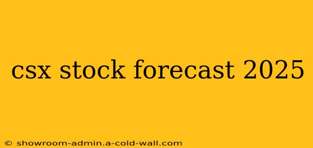 csx stock forecast 2025