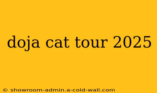 doja cat tour 2025