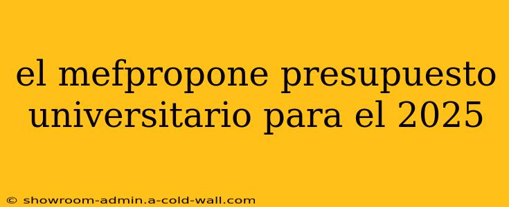 el mefpropone presupuesto universitario para el 2025