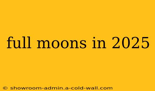 full moons in 2025