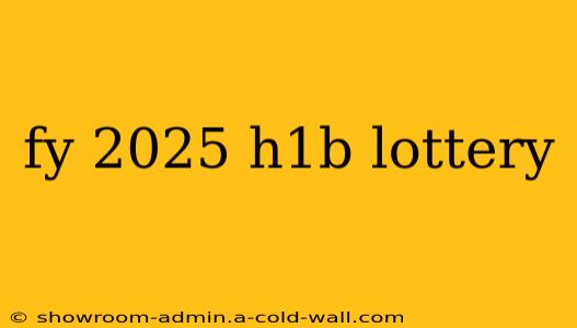 fy 2025 h1b lottery