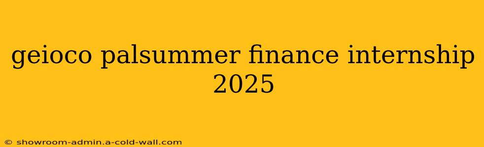 geioco palsummer finance internship 2025