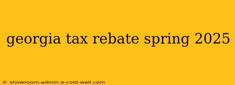 georgia tax rebate spring 2025