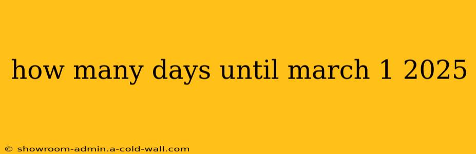 how many days until march 1 2025