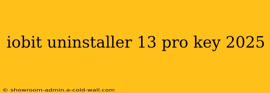 iobit uninstaller 13 pro key 2025