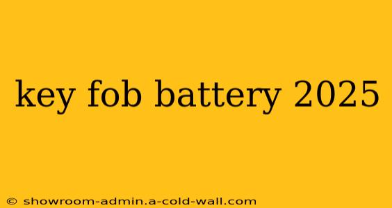 key fob battery 2025