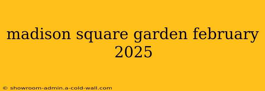 madison square garden february 2025