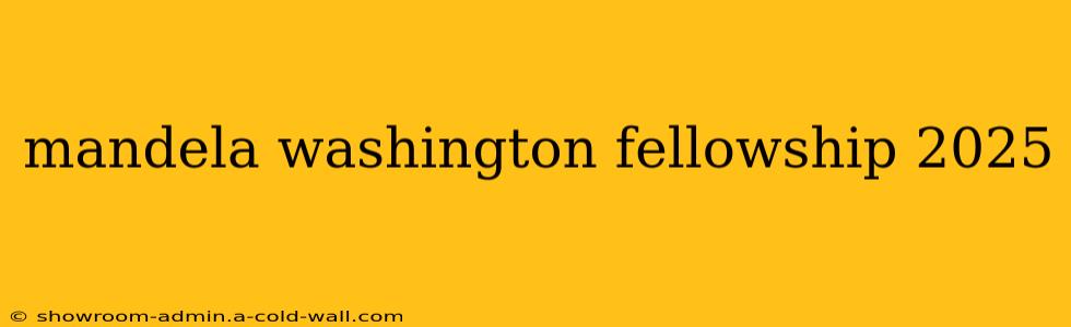 mandela washington fellowship 2025