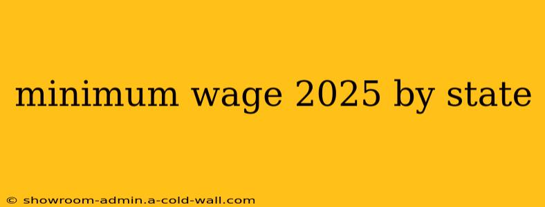 minimum wage 2025 by state