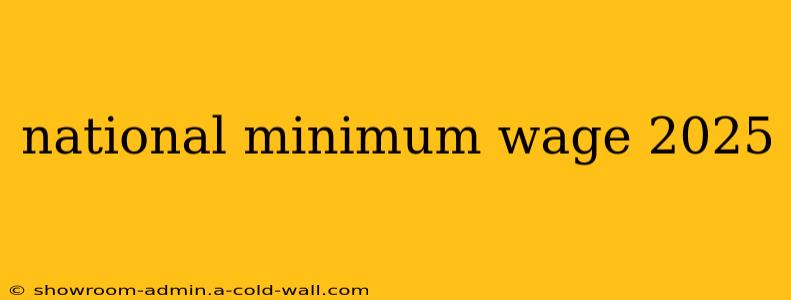 national minimum wage 2025