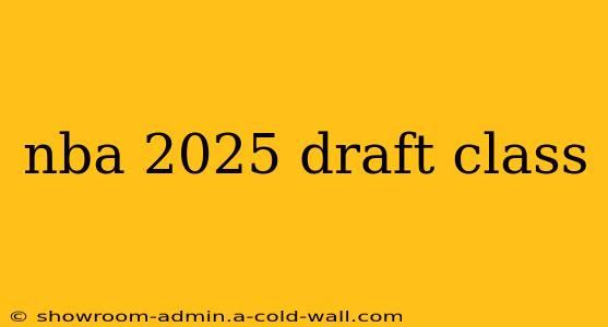 nba 2025 draft class