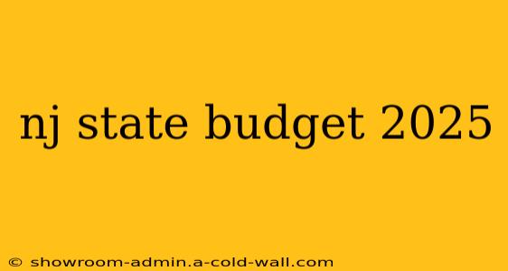 nj state budget 2025