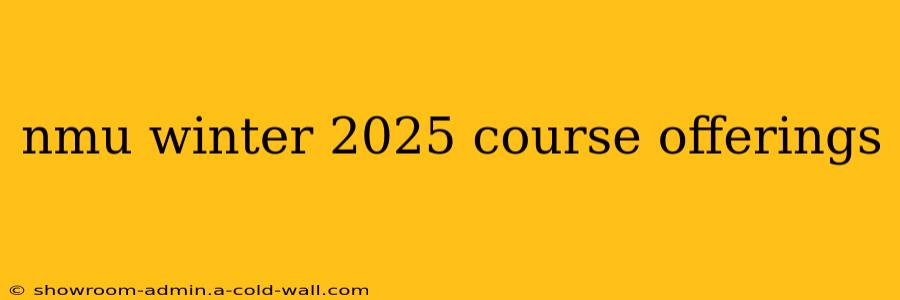 nmu winter 2025 course offerings