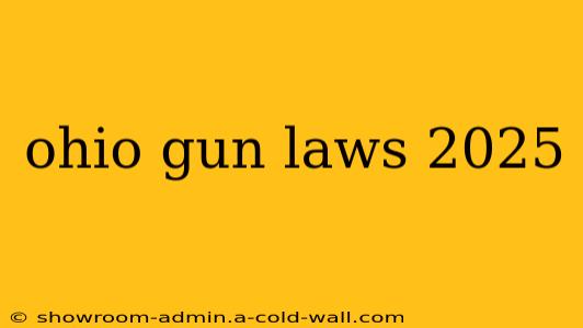 ohio gun laws 2025