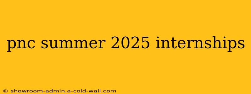 pnc summer 2025 internships