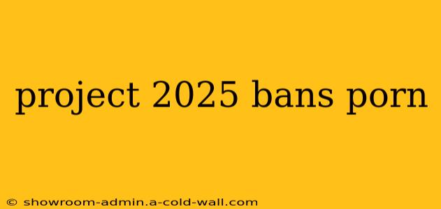 project 2025 bans porn