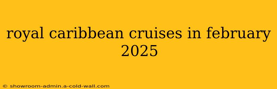 royal caribbean cruises in february 2025