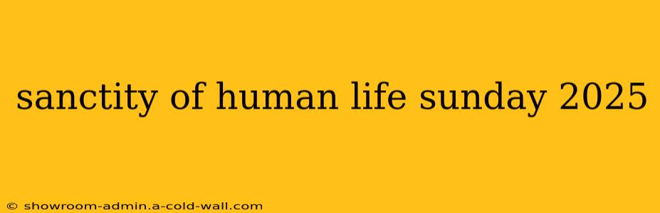 sanctity of human life sunday 2025