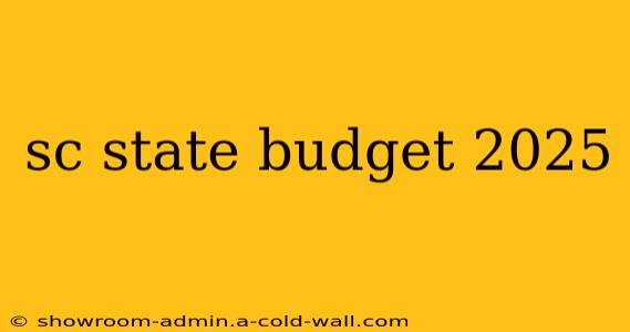 sc state budget 2025